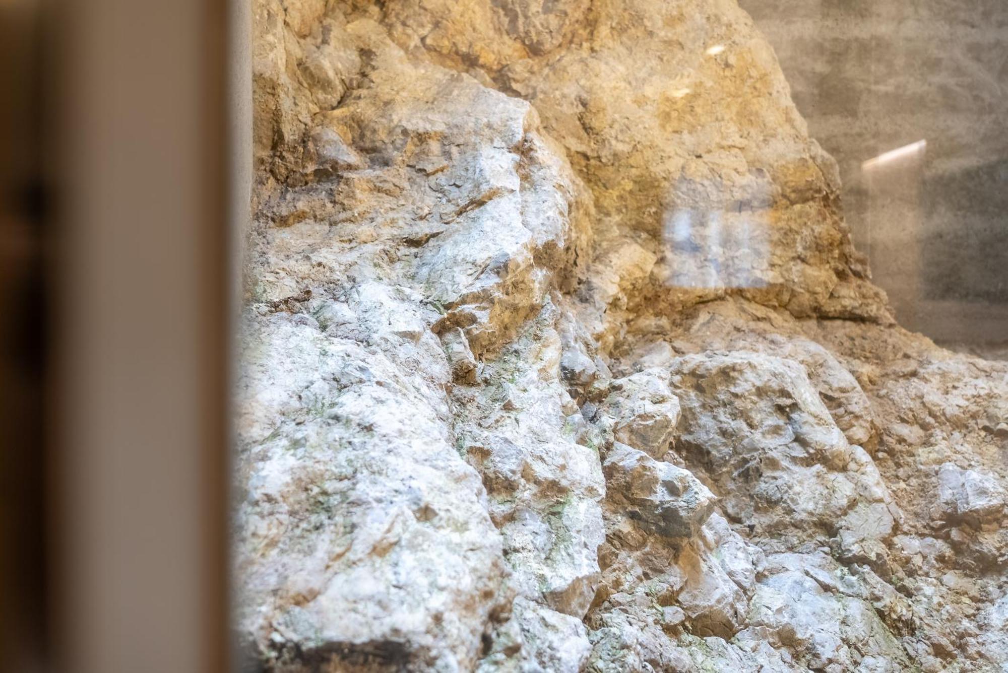 Rock Salzburg Διαμέρισμα Εξωτερικό φωτογραφία